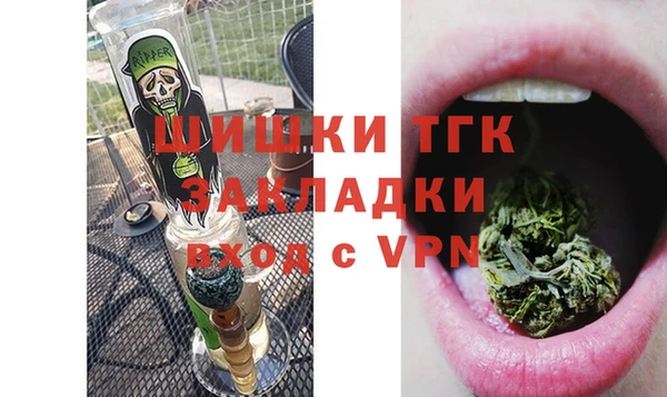 МДПВ Краснослободск