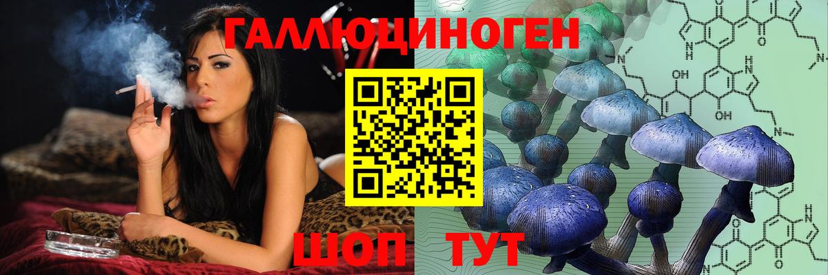 Псилоцибиновые грибы GOLDEN TEACHER  Псилоцибиновые грибы GOLDEN TEACHER  Рязань  Вход с VPN 